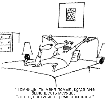 

Нажмите для перехода к следующей картинке