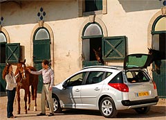  Peugeot 207 SW 