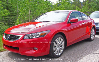 Honda Accord.  Brenda Priddy