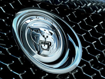  Jaguar 