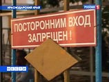  "",          ,       "" 