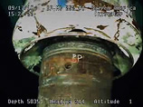 Компания BP окончательно исправила ситуацию с утечкой нефти в Мексиканском заливе, закупорив аварийную скважин