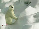 "     ", -  