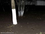                " "  .   -    ,   ,     