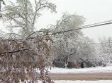  ,      2011 ,          