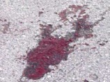           84-  