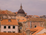                XIX   