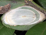      2012 ,       ,        ,       ,  