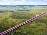   Zoje Resources Investment     115         49 