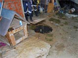         ,       15-    ,    