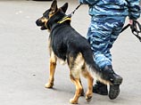  "Кинологи завершили проверку, взрывное устройство не обнаружено, угроза взрыва снята", - сообщил РИА "Новости" источник в экстренных службах столицы