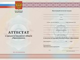 Преподаватель железнодорожного института в Уссурийске в целях получения дополнительного дохода создала организованную группу для изготовления с целью сбыта поддельных официальных документов - аттестатов о среднем (полном) общем образовании