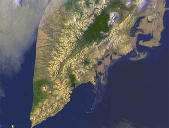 ,     www.pacificinfo.ru