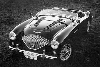  Austin-Healey 