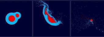    ,    New Scientist