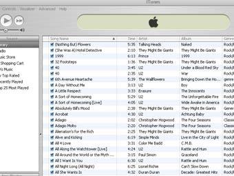   Apple iTunes