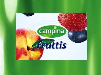    www.campina.ru