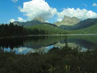 .  Schleicher.ru
