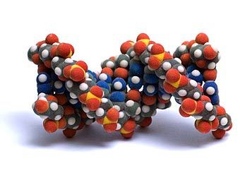   .    visualscience.ru