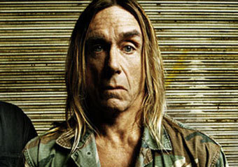  ,    iggypop.com