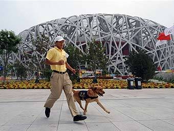 ,   -2008      .  AFP