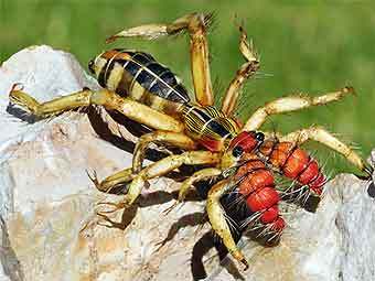 .    itsnature.org