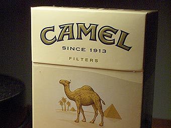  Camel.   Wooptoo   wikipedia.org