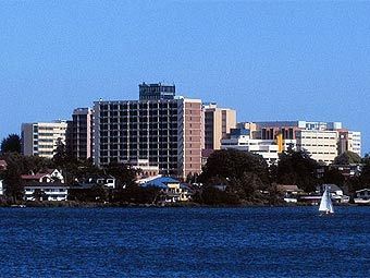 Waikato Hospital.    hamilton.co.nz