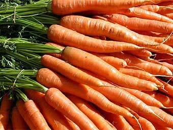    umassvegetable.org