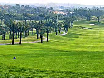       .    vietnamgolf.vn