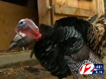  .  WPRI-TV