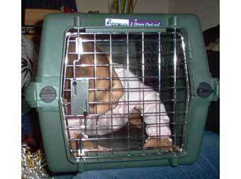   babycage.net