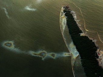 Нефтяное пятно в Мексиканском заливе. Фото ©AFP