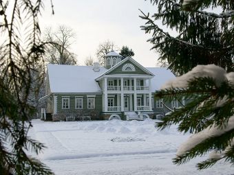 Михайловское Пушгоры зима