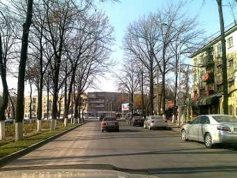 Улица в Чимкенте. Фото пользователя Rassim c cайта wikipedia.org.