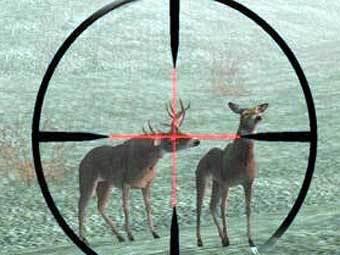   Deer Hunter