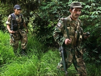  FARC.  ©AFP