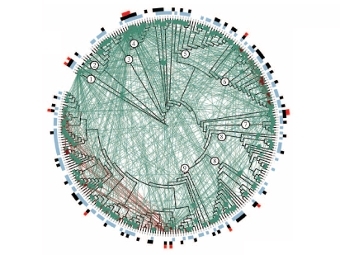    185 .        ,  -  .  Cordero et al., Science, 2012