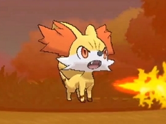 Fennekin.   Pokemon X & Y